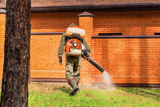 Bed Bug Clearance Verification and Documentation in New Lenox